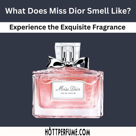 miss dior perfume legi|what does Miss Dior smell like.